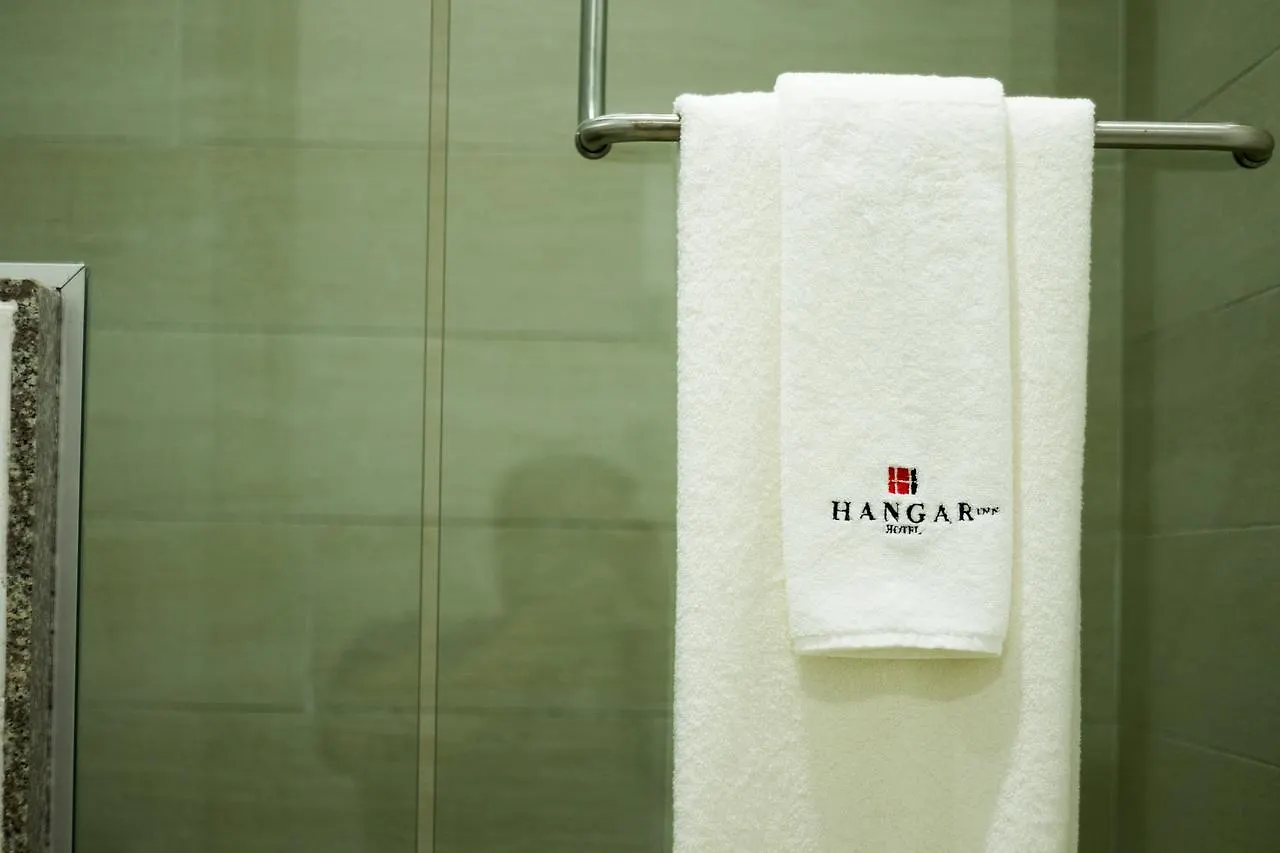 Hangar Inn Guadalajara Aeropuerto San Jose del Castillo 3*,  México