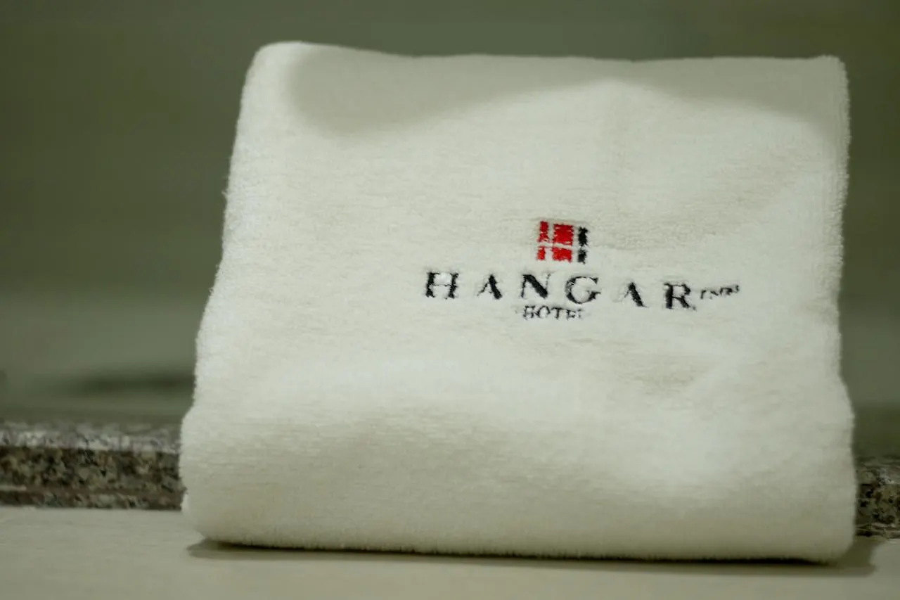 Hangar Inn Guadalajara Aeropuerto San Jose del Castillo